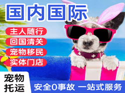 菏泽牡丹机场物流国际宠物托运 【国